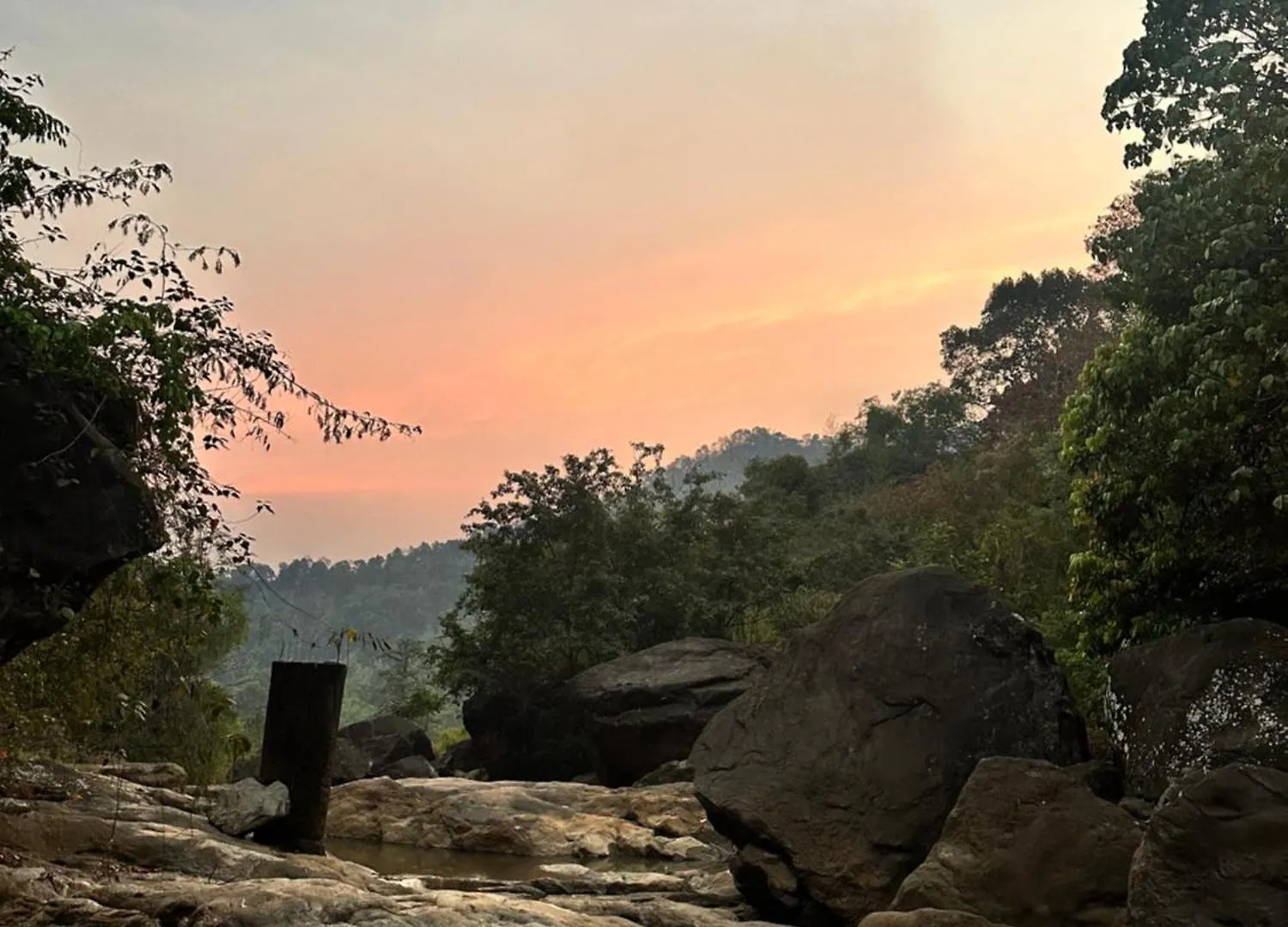 Thoppil Homestay Munnar 0*,